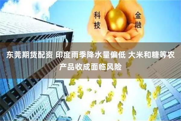 东莞期货配资 印度雨季降水量偏低 大米和糖等农产品收成面临风险