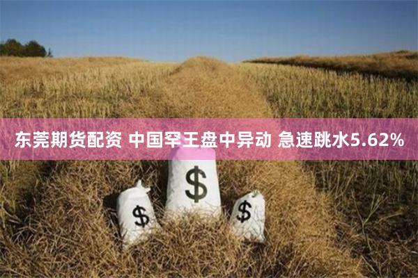 东莞期货配资 中国罕王盘中异动 急速跳水5.62%