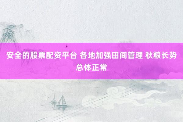 安全的股票配资平台 各地加强田间管理 秋粮长势总体正常