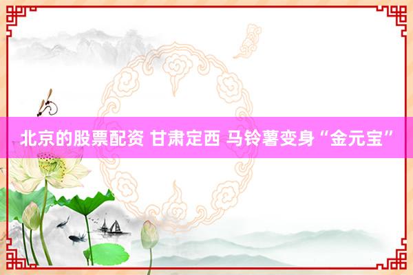 北京的股票配资 甘肃定西 马铃薯变身“金元宝”