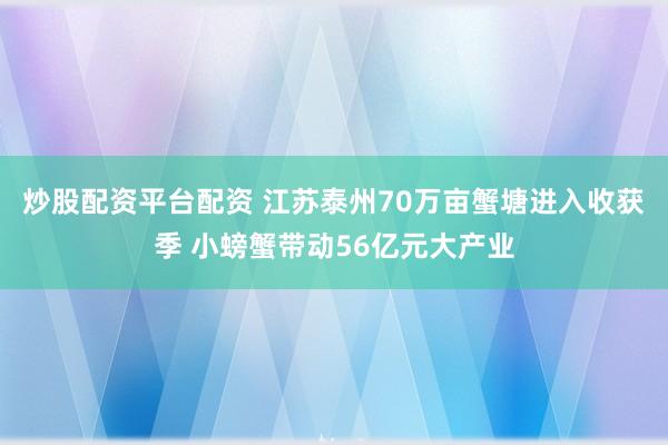 炒股配资平台配资 江苏泰州70万亩蟹塘进入收获季 小螃蟹带动56亿元大产业