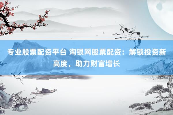 专业股票配资平台 淘银网股票配资：解锁投资新高度，助力财富增长